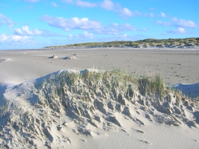 foto strand duinen vlieland