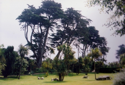 foto tuinen jardin georges delaselle batz