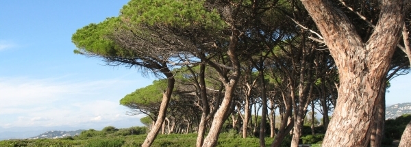 bezienswaardigheden eiland Île Sainte-Marguerite toerisme