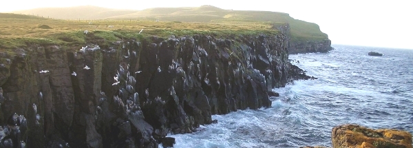 bezienswaardigheden eiland Grímsey toerisme